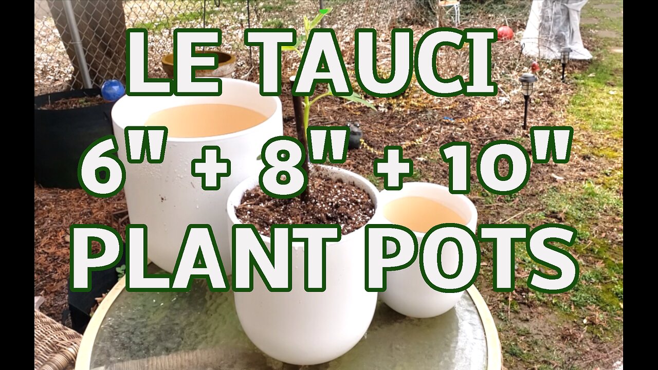 LE TAUCI 6, 8,10 Inch Ceramic Planters, great classic look!