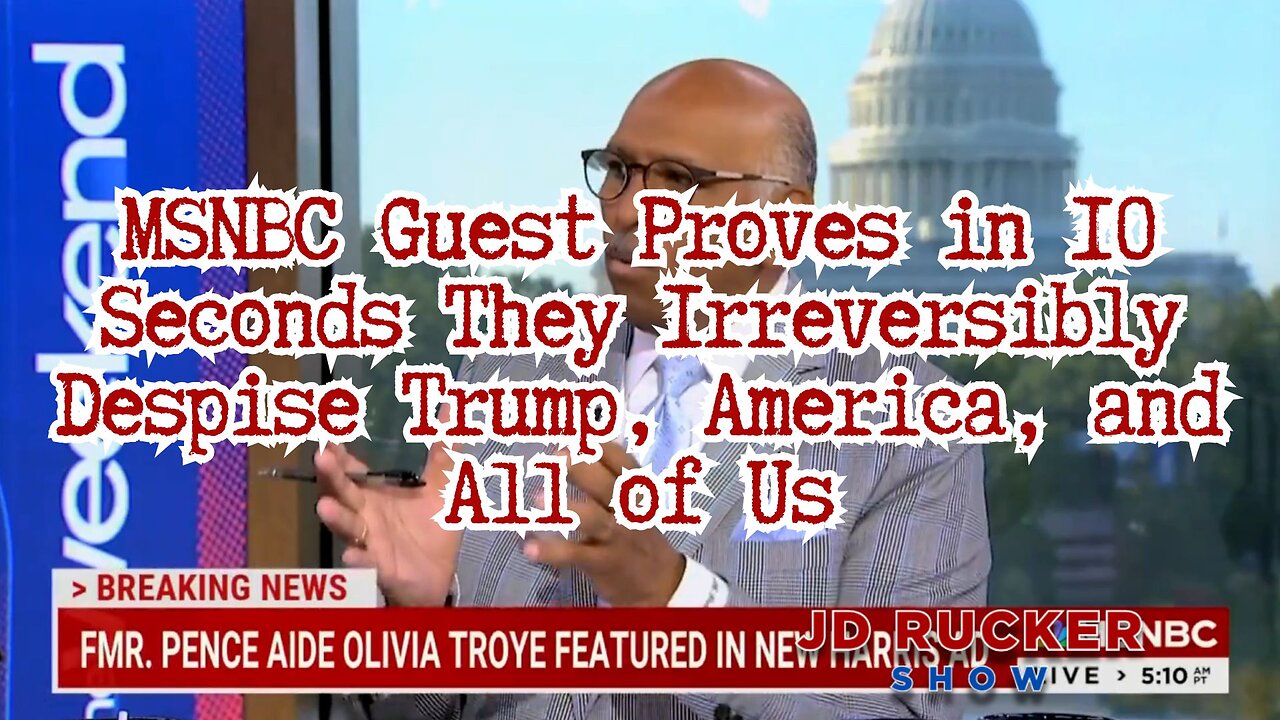 MSNBC Guest Proves in 10 Seconds They Irreversibly Despise Trump, America, and All of Us