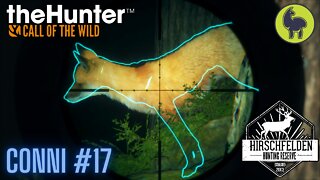 Conni #17 Hirschfelden | theHunter: Call of the Wild (PS5 4K)