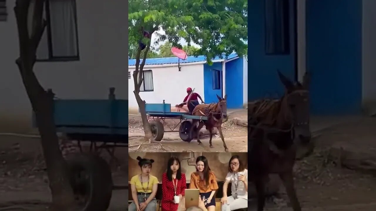 Funny Moment : Lemparan Sakti Ular | #shorts