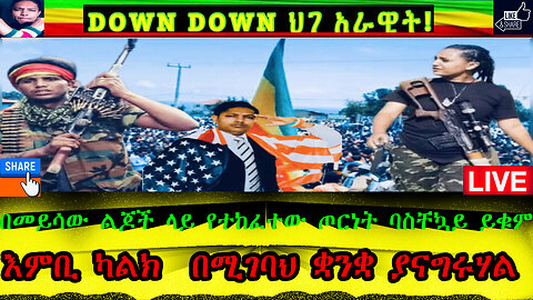 በመይሳው ልጆች ላይ የተከፈተው ጦርነት ባስቸኳይ ይቁም