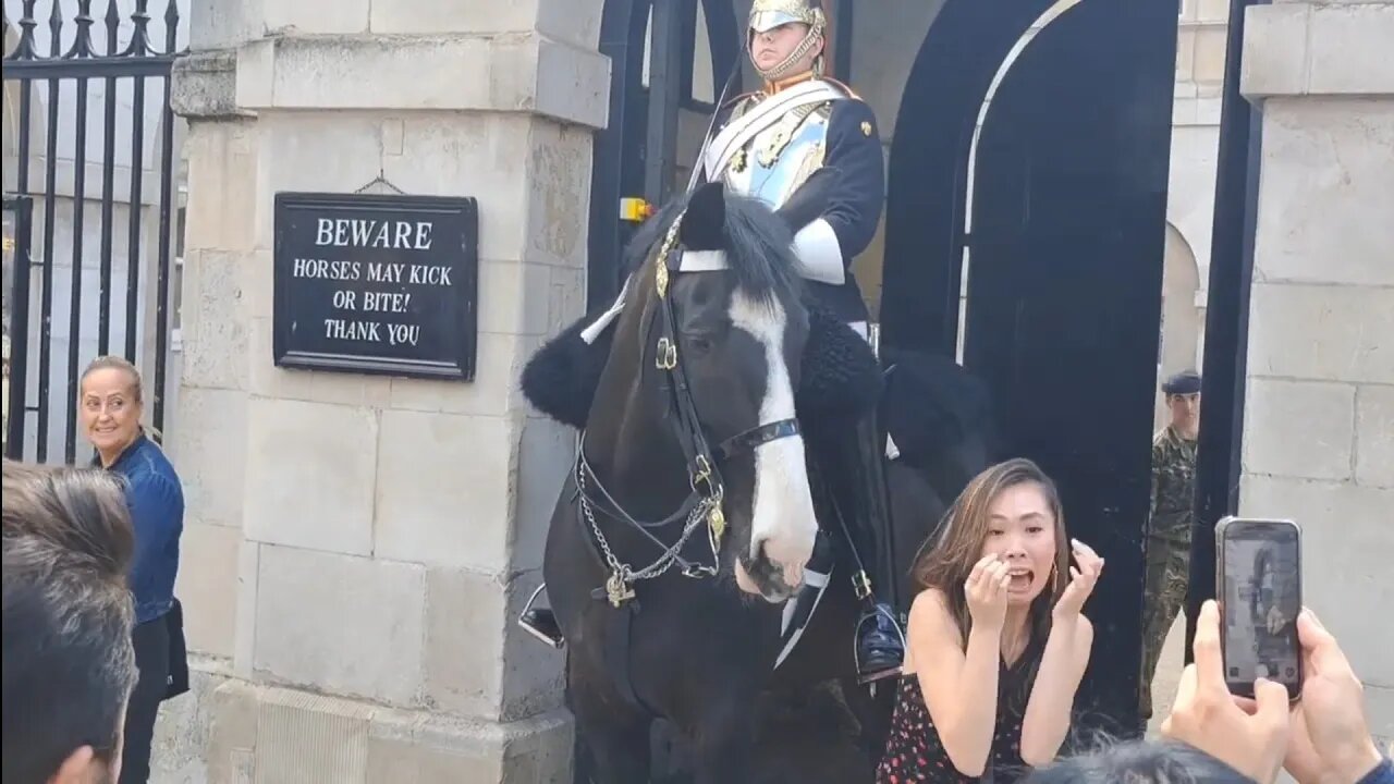 When your photo images shows you sh!÷ing you're self 😱 😆 🤣 😂 #horseguardsparade