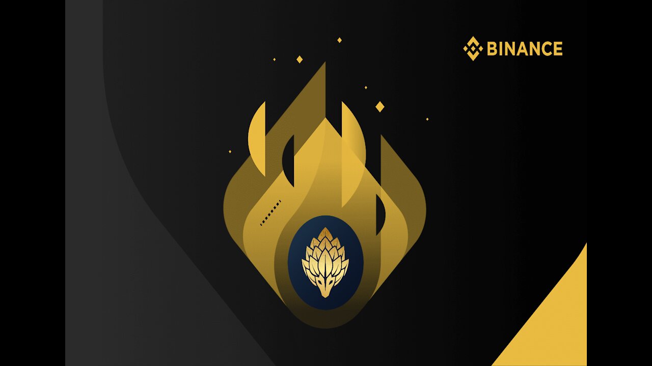 How to Purchase PengolinCoin wPGO BEP20 Binance Smart Chain Metamask
