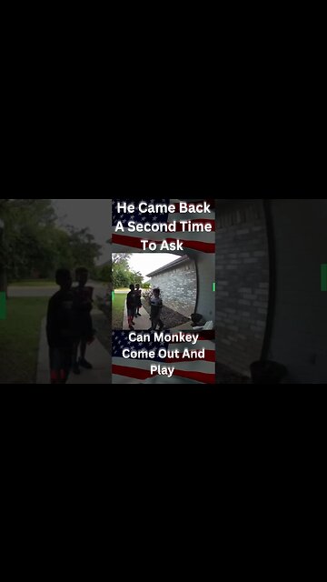 He Came Back A Second Time To Ask If Monkey Can Come Out To Play