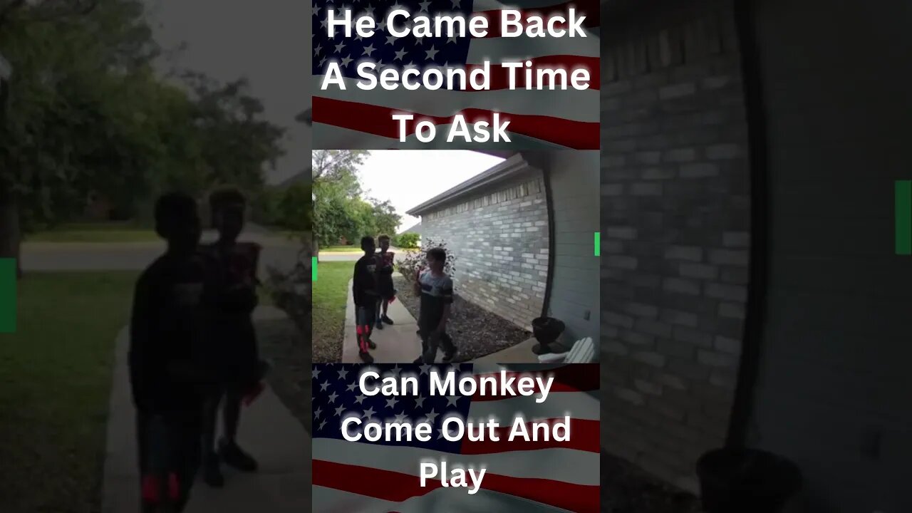 He Came Back A Second Time To Ask If Monkey Can Come Out To Play