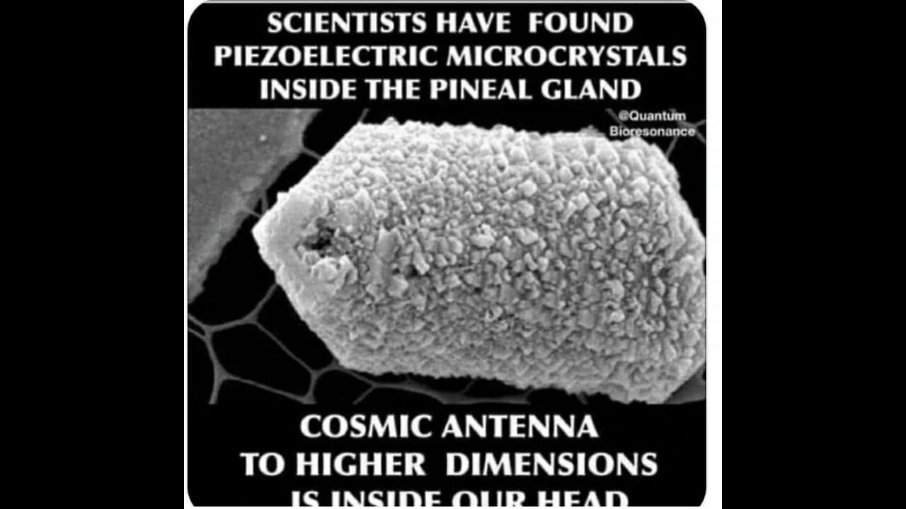 Detailed Explanation About The Pineal Gland