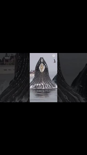 Funniest Fun Amazing videos must Entertainment comedy 2022🤣 #shorts #shortsfeed