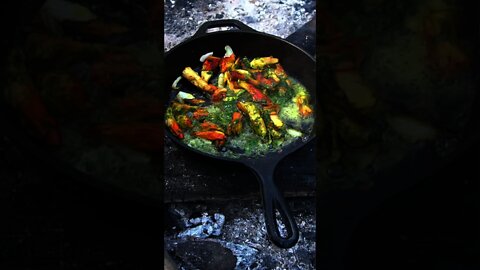 Pesto Chicken of the Woods mushroom. Foraging and Bushcraft cooking in the forest. #shorts