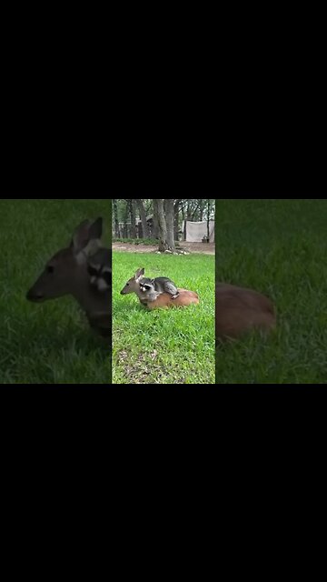 Enjoy A Moment Of Peace