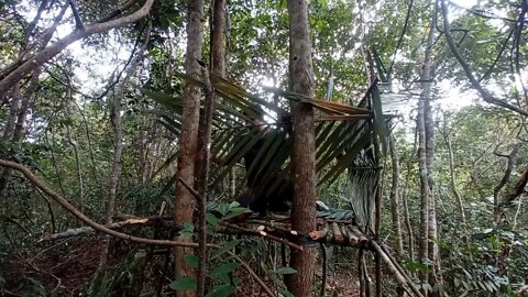 solo survival __ membangun shelter, masak, makan,eksplor, dan tidur nyenyak di hutan _18