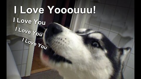 " I love you," says a husky