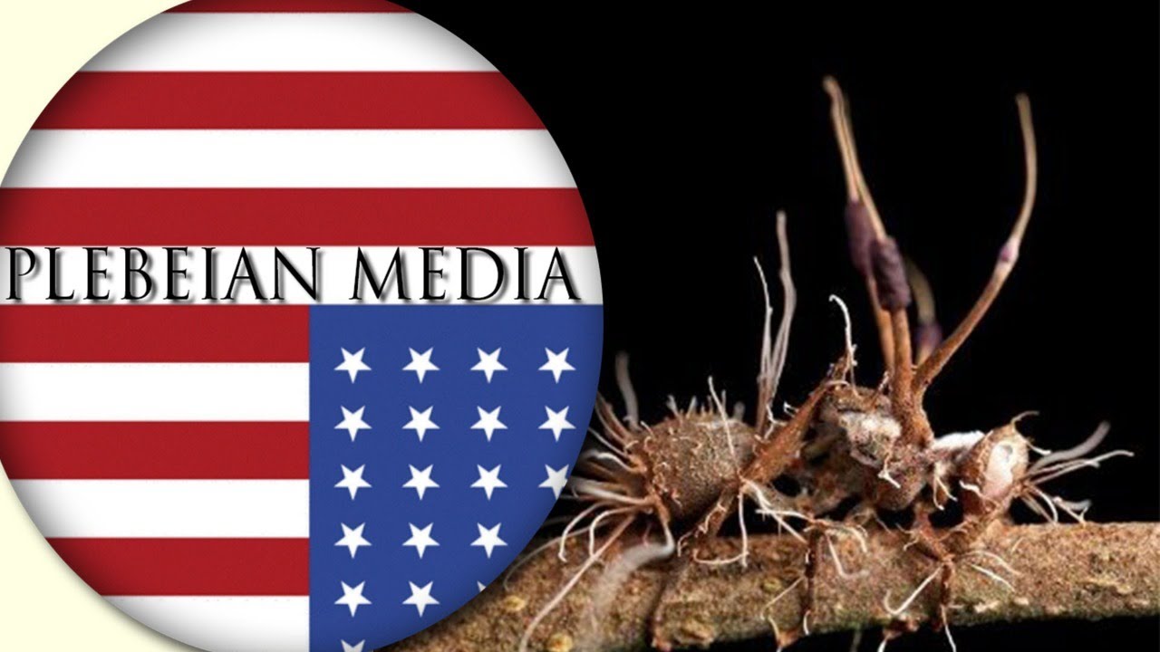 Talking to Marhobane