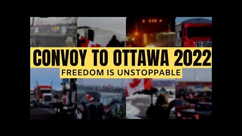 Beautiful Compilation Of Truckers & Supporters 🇨🇦 | CONVOY TO OTTAWA 2022