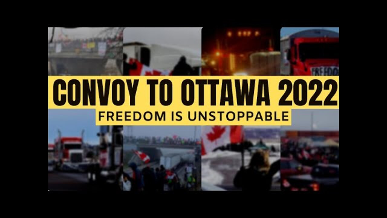 Beautiful Compilation Of Truckers & Supporters 🇨🇦 | CONVOY TO OTTAWA 2022