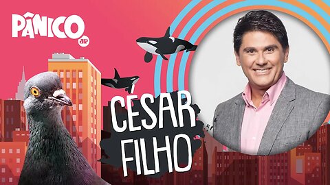 CÉSAR FILHO - PÂNICO - AO VIVO - 16/07/20