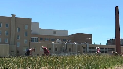 St. Joseph Mercy Oakland changes the conversation from sickness to health with new farm