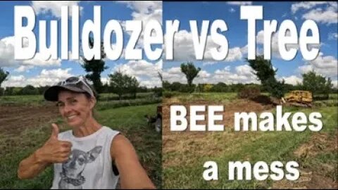 Bull Dozer vs TREE, Bee makes a mess