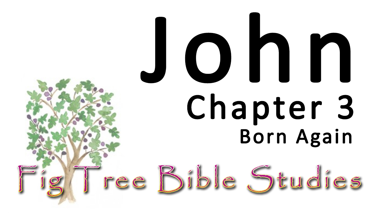 John 3 (Born Again)