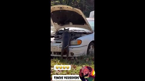 Fake mechanic 😫😂