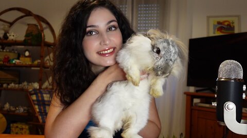 RABBIT CUDDLES ASMR (whispering, bunny care, pet brushing, rabbit sounds)