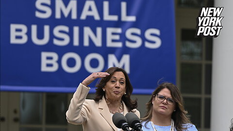 Kamala Harris stumbles when pressed on specifics of small business plan