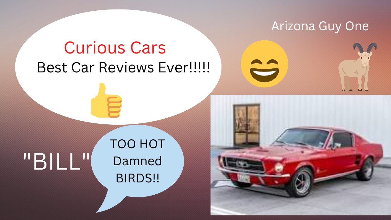 Let's go to Curious Cars and see a review