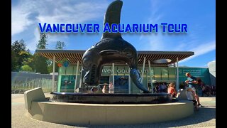 Vancouver Aquarium tour 2022