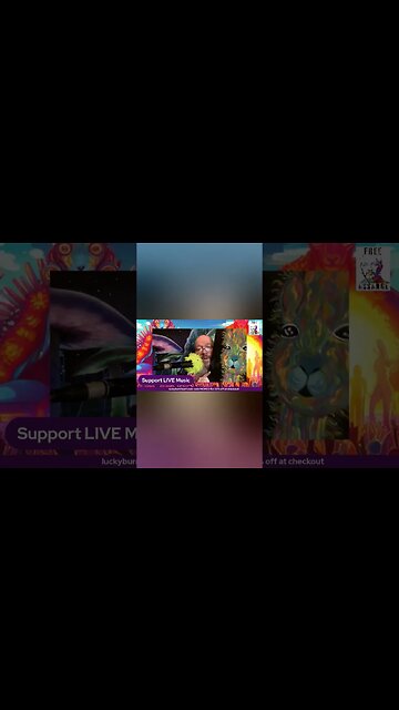 looking fo a llama? #stevecutlerlive #FearlesslyAuthentic