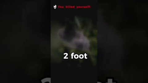 ark fall damage is broken