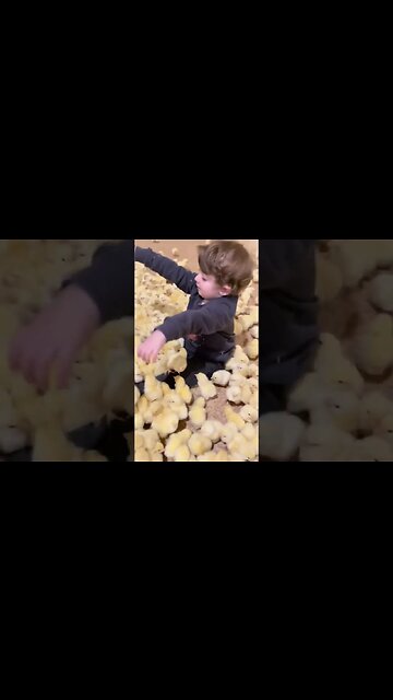 AWW Animals SOO Cute!#shorts #babyanimals #cutanimals #babycute