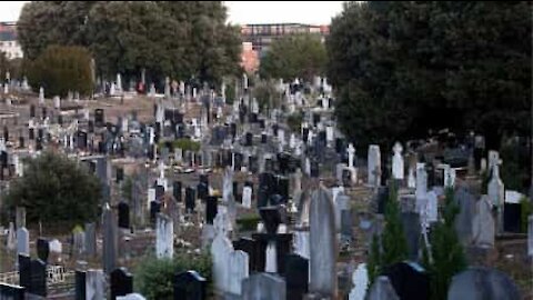 Alleged ghosts of children filmed in cemetery