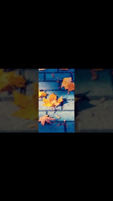 RELAXING MUSIC/DEEP SLEEP MUSIC/autumn ambience music #shorts