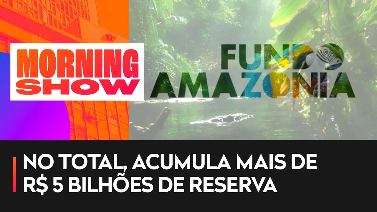 Fundo da Amazônia recebe R$ 3,3 bilhões em doações