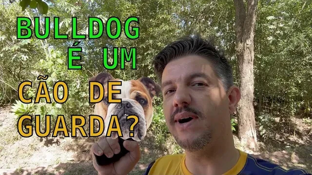 BULLDOG ou BULDOGUE É UM BOM CÃO DE GUARDA? E NÃO É SOBRE CACHORROS QUE ESTOU FALANDO