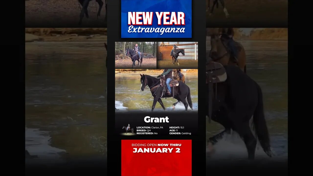 Group 4 - ✨𝐍𝐄𝐖 𝐘𝐄𝐀𝐑 𝑬𝒙𝒕𝒓𝒂𝒗𝒂𝒈𝒂𝒏𝒛𝒂✨ - online auction ending Monday | January 2nd!