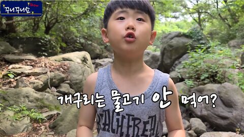 계곡 따라 물 따라! 아빠랑 물고기, 개구리 좀 잡아볼까? (Nature Experience)