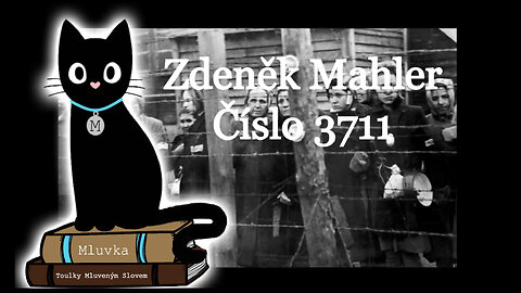 Zdeněk Mahler - Číslo 3711 (Mluvené slovo CZ)