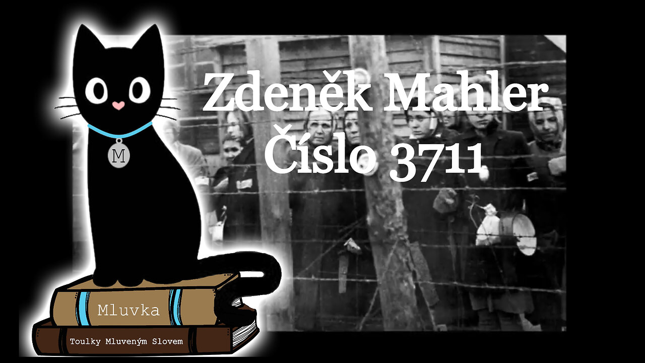 Zdeněk Mahler - Číslo 3711 (Mluvené slovo CZ)