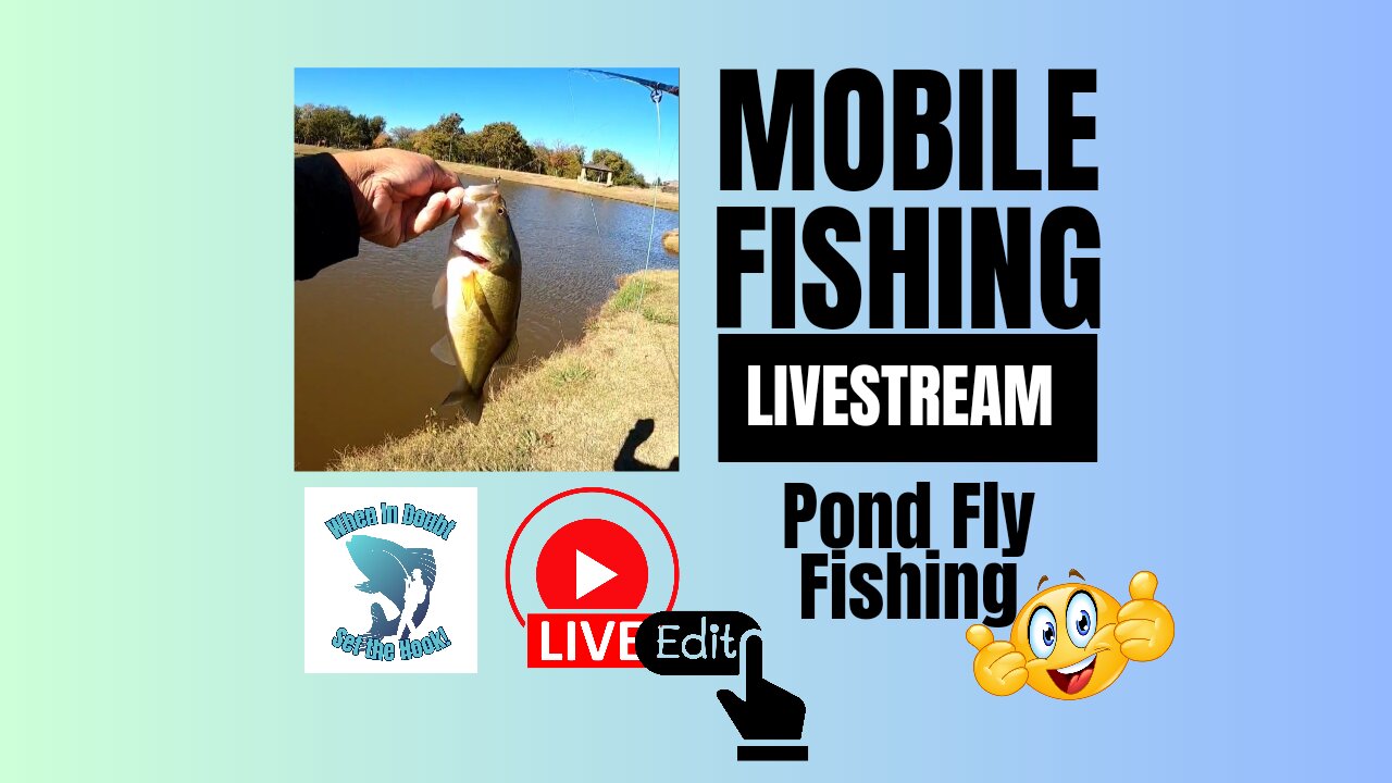 Pond Fly Fishing - Let's See What's Biting #mobile #fishing #livestream