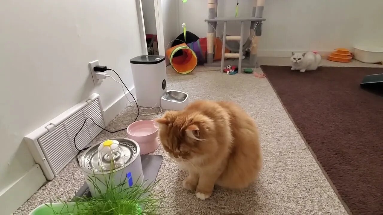 π±#delicious tuna π₯°π½πΊπ₯°