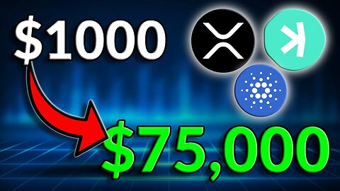 $1000 Portfolio! How I would turn $1,000 into $75,000 this bull run!