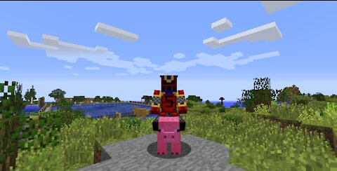 Minecraft: Pig Bike!!!