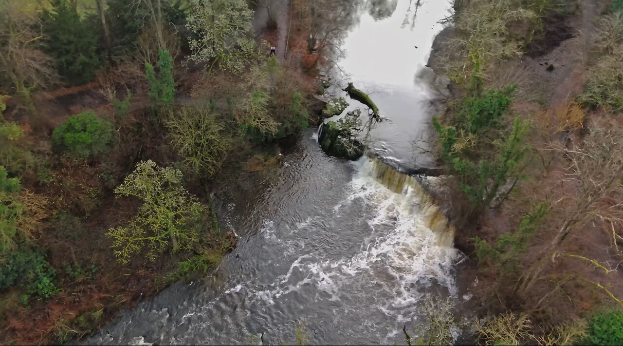 Linn Park Waterfall White Bridge 2024