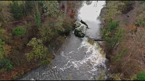 Linn Park Waterfall White Bridge 2024