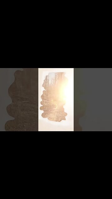 I Met Some Body #shorts