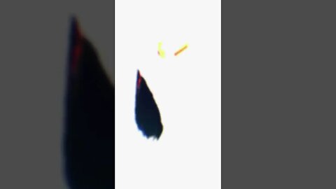 Tiktok Videos | Tavernoftinst | #fyp #short #tiktok #tiktokdance