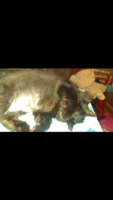 No wonder it's hot in here...