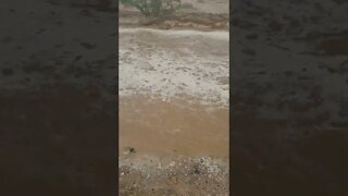 Desert Rain Makes A River