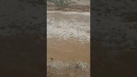 Desert Rain Makes A River