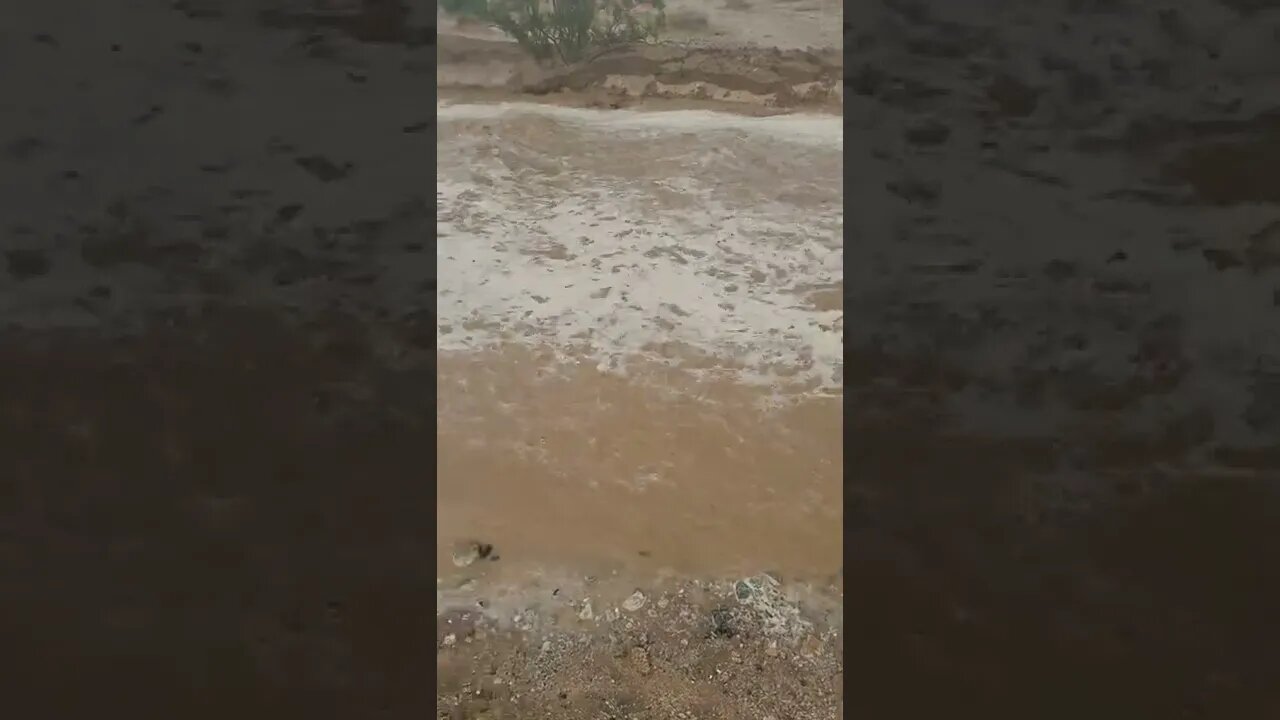 Desert Rain Makes A River